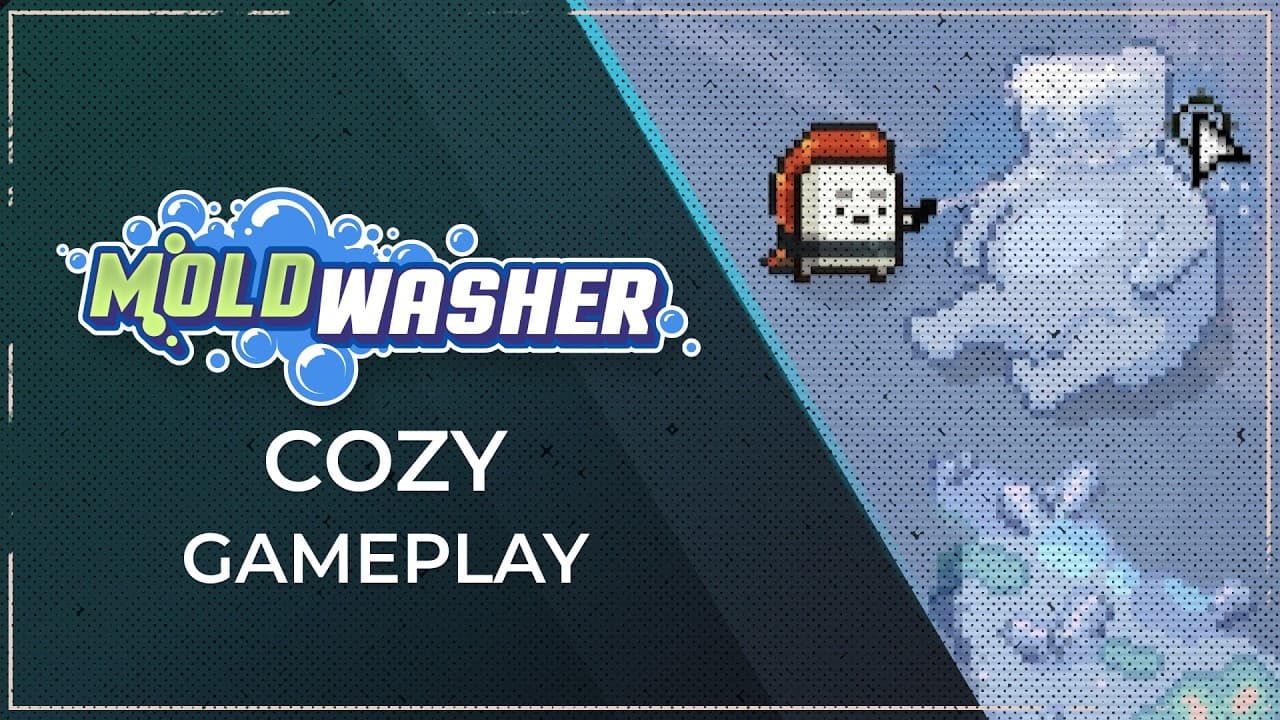 Moldwasher