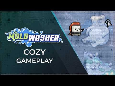 Moldwasher